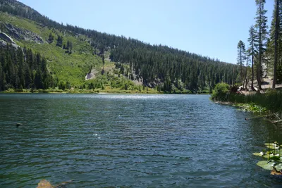 DSC_3578 (Large).JPG